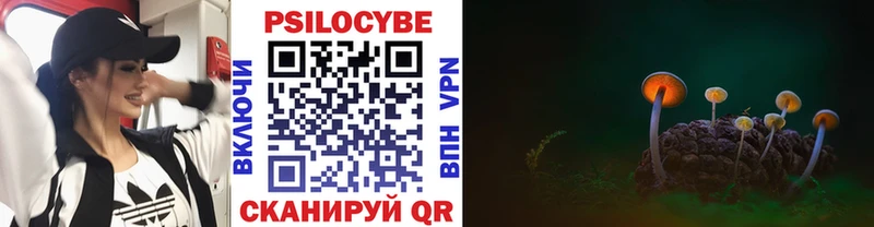 Галлюциногенные грибы прущие грибы Камышлов