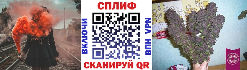 Шишки марихуана семена Камышлов